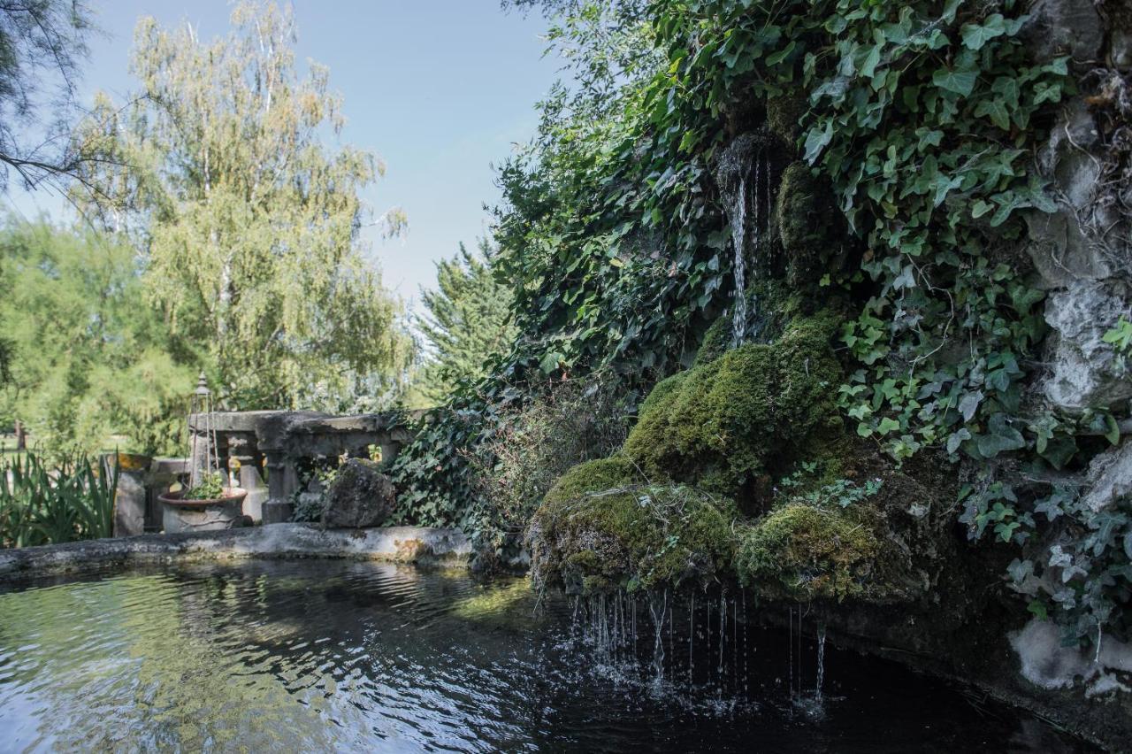 Domaine De Chalaniat Bed & Breakfast La Sauvetat  Dış mekan fotoğraf