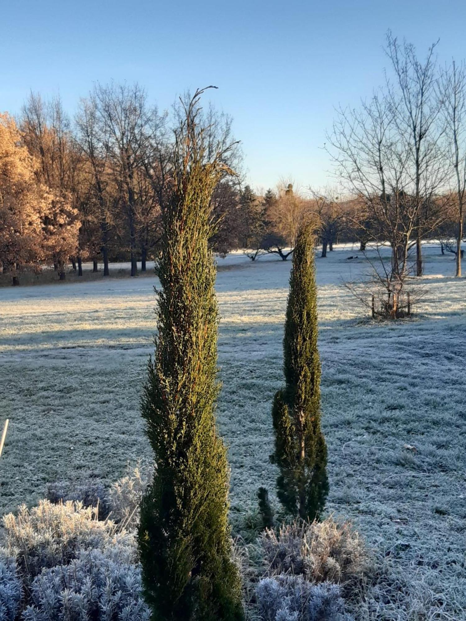 Domaine De Chalaniat Bed & Breakfast La Sauvetat  Dış mekan fotoğraf